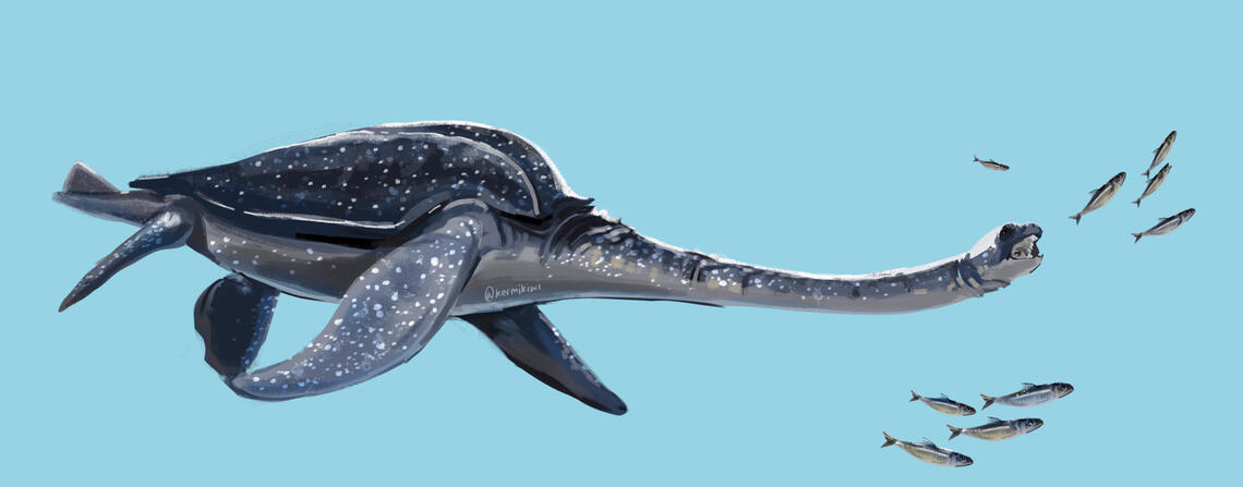 Witch Hat Atelier Fanart