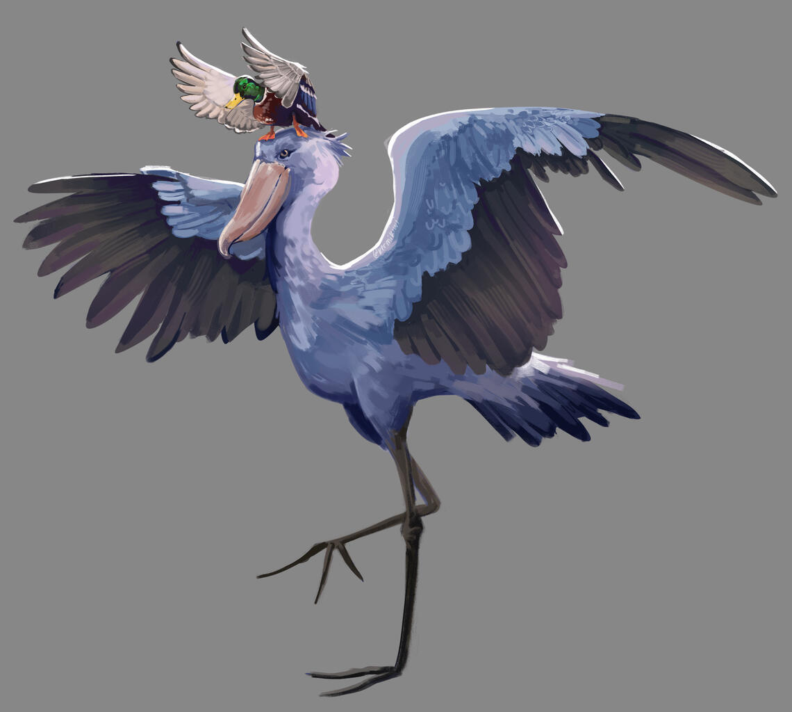 Witch Hat Atelier Fanart